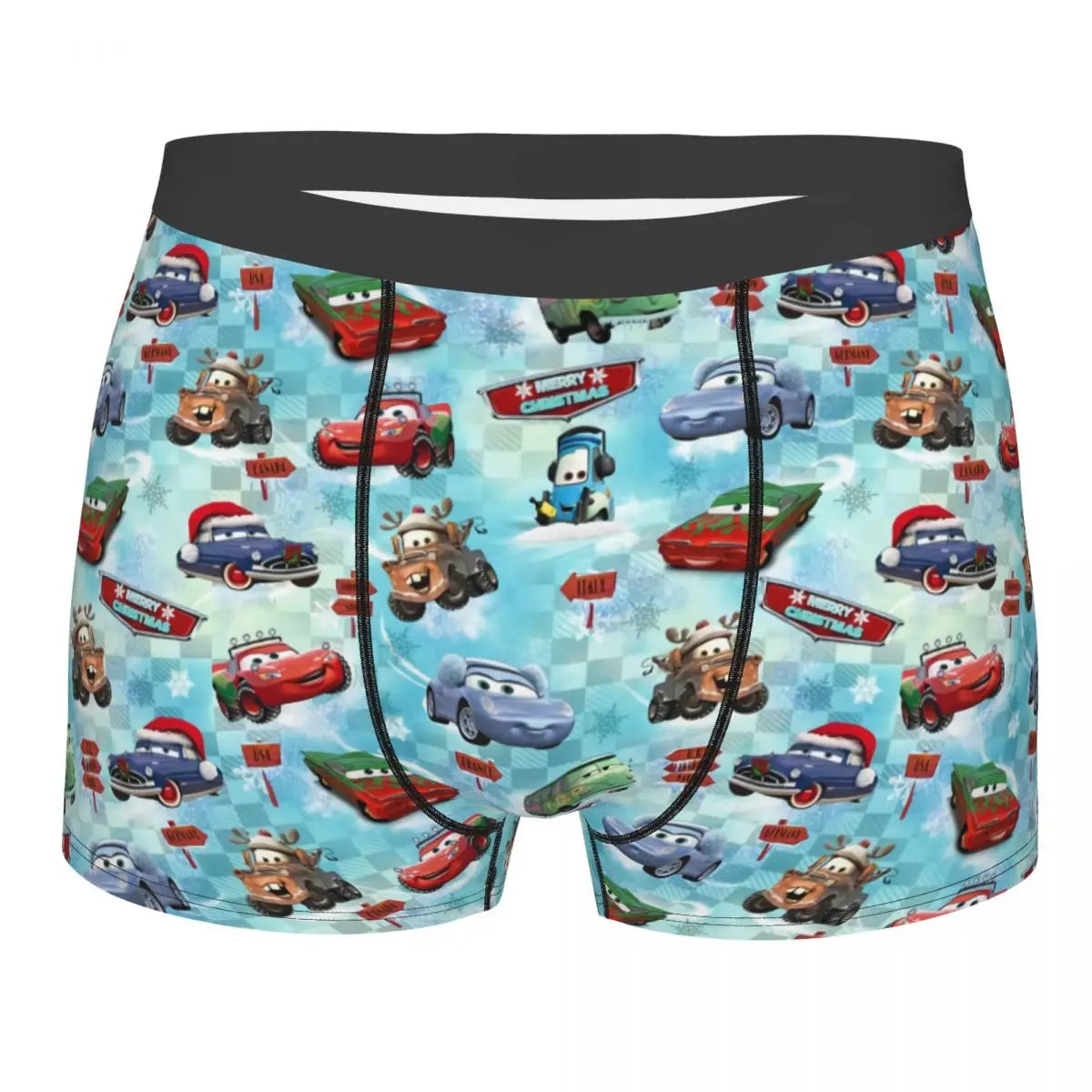 Boxer Cars Hiver Noël