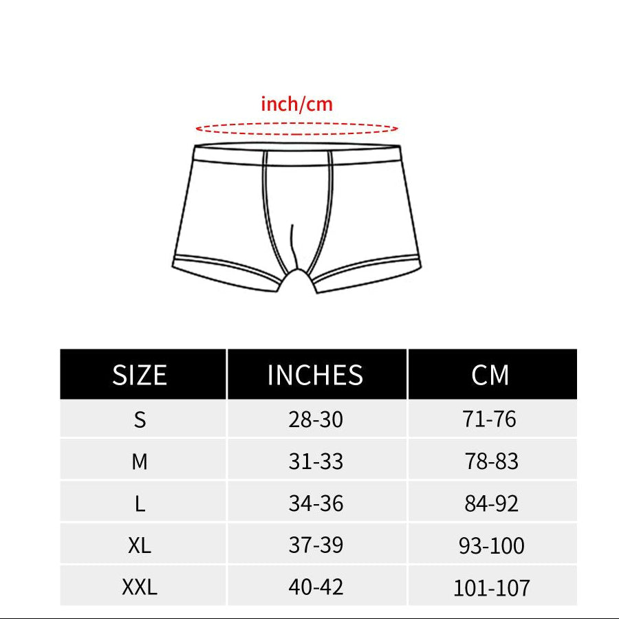 Boxer Cars Hiver Noël